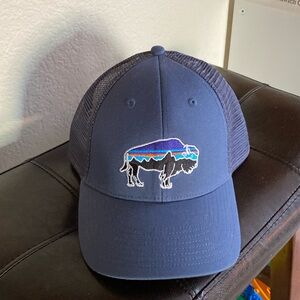 Patagonia trucker hat